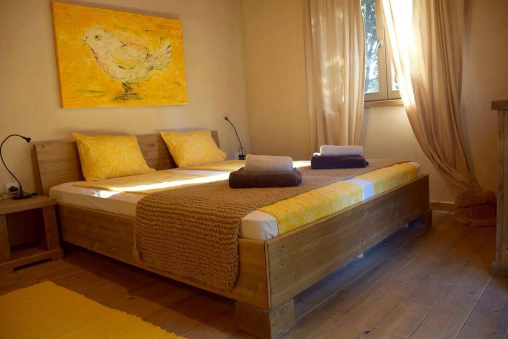 Villa Birds House Rovigno Esterno foto