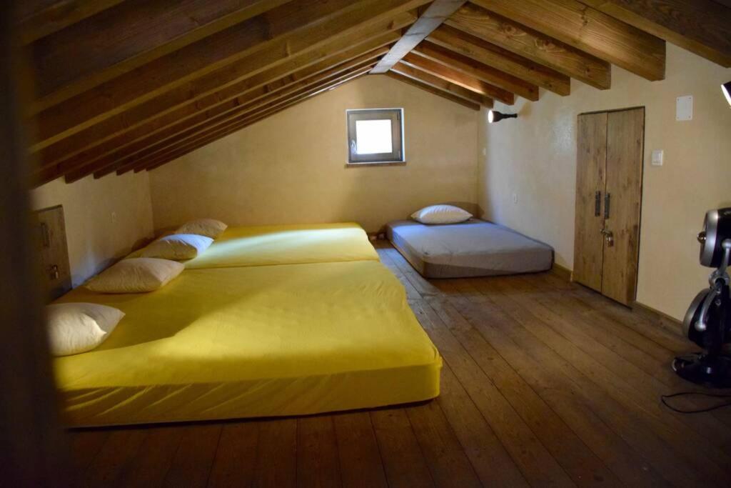 Villa Birds House Rovigno Esterno foto