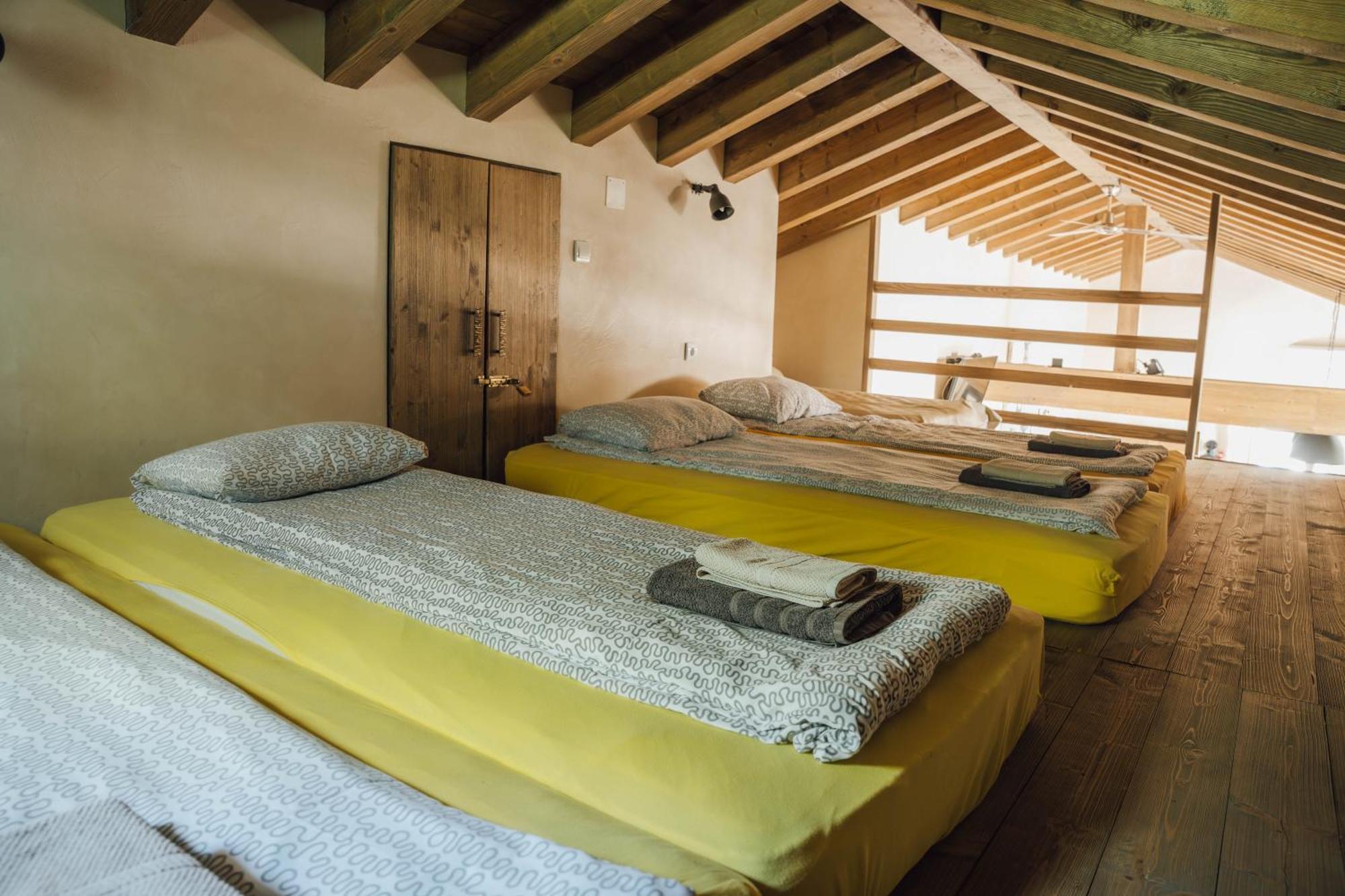 Villa Birds House Rovigno Esterno foto